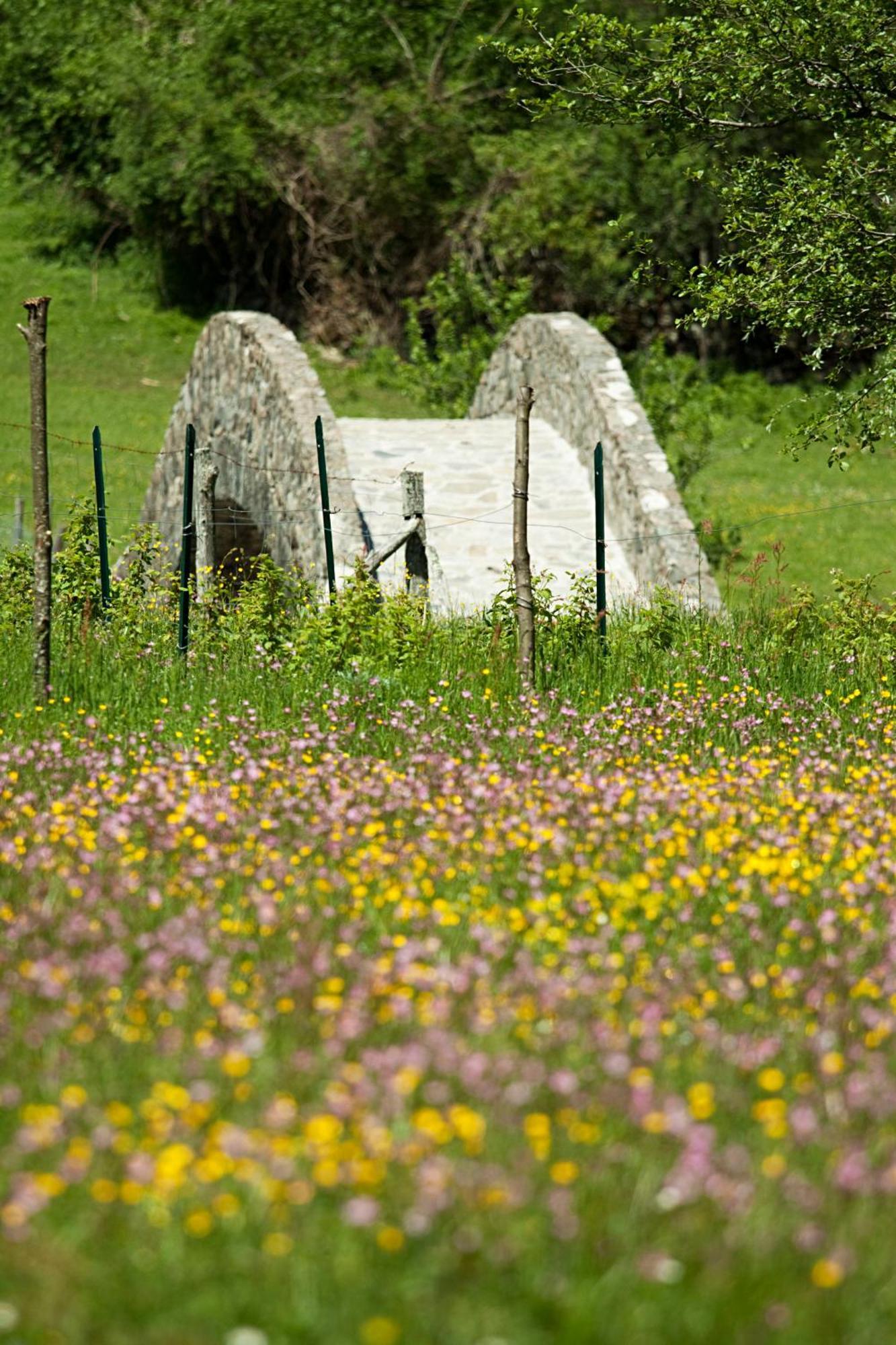 Mulino Marghen - Restored Watermill - Accomodation And Retreat Center Zeri Bagian luar foto